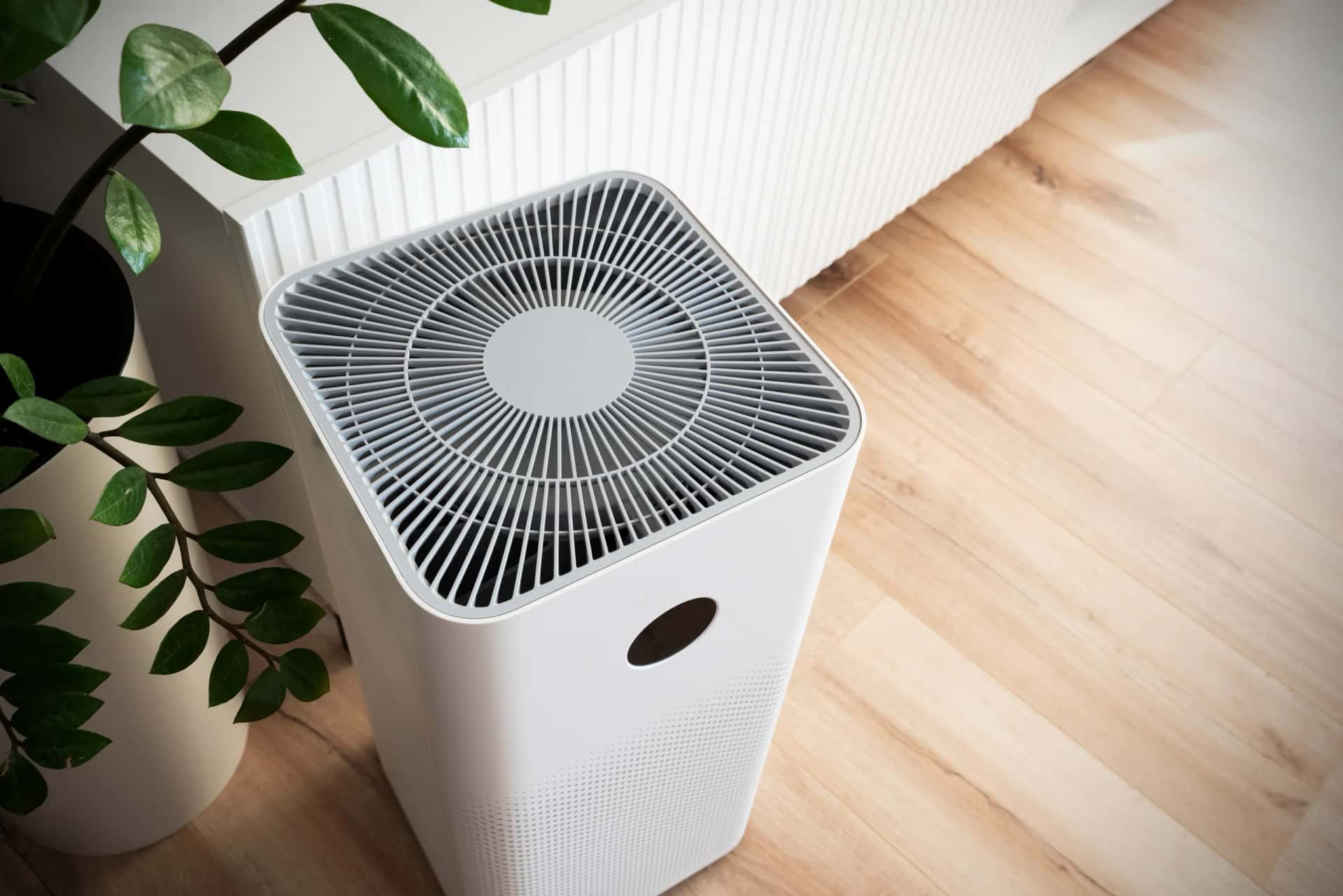 Best Air Purifiers for Canadian Homes in 2026: CADR, Wildfire Smoke, and What Actually Cleans Your Air