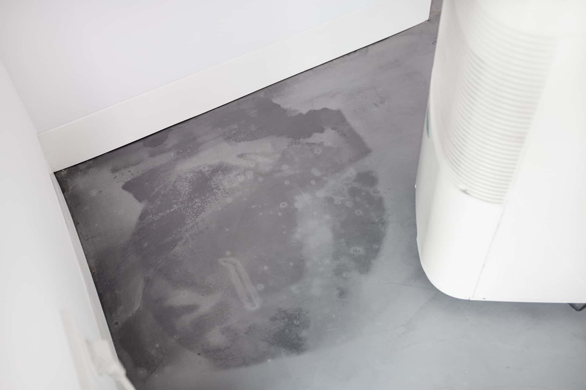 The Best Dehumidifiers for Canadian Homes: Our Top Picks After Comparing Popular Models