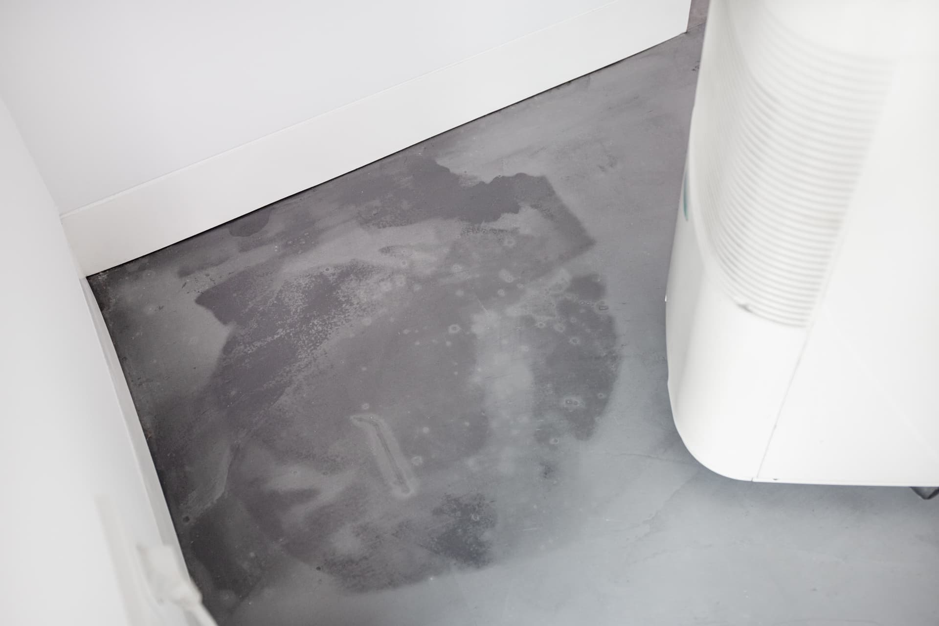 The Best Dehumidifiers for Canadian Homes: Our Top Picks After Comparing Popular Models