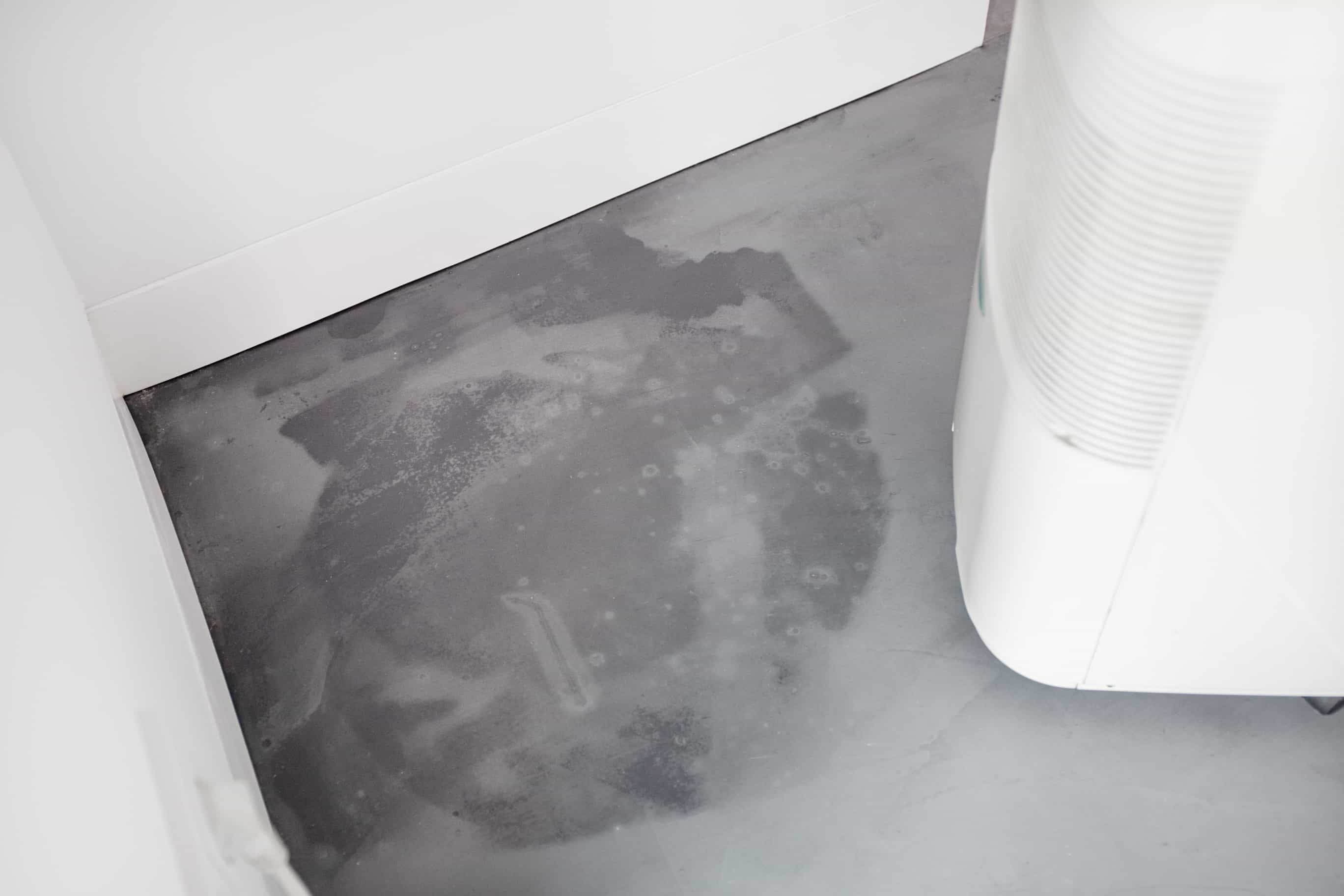 The Best Dehumidifiers for Canadian Homes: Our Top Picks After Comparing Popular Models