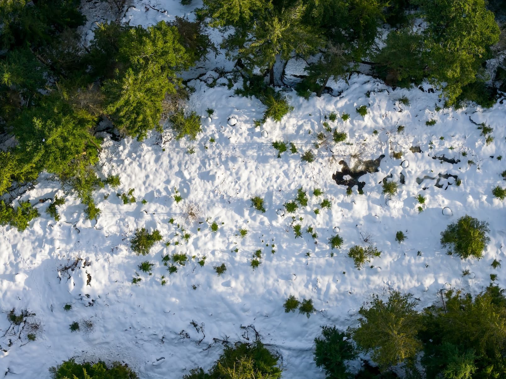 Aerial view of a snowy landscape with green trees and water bodies.