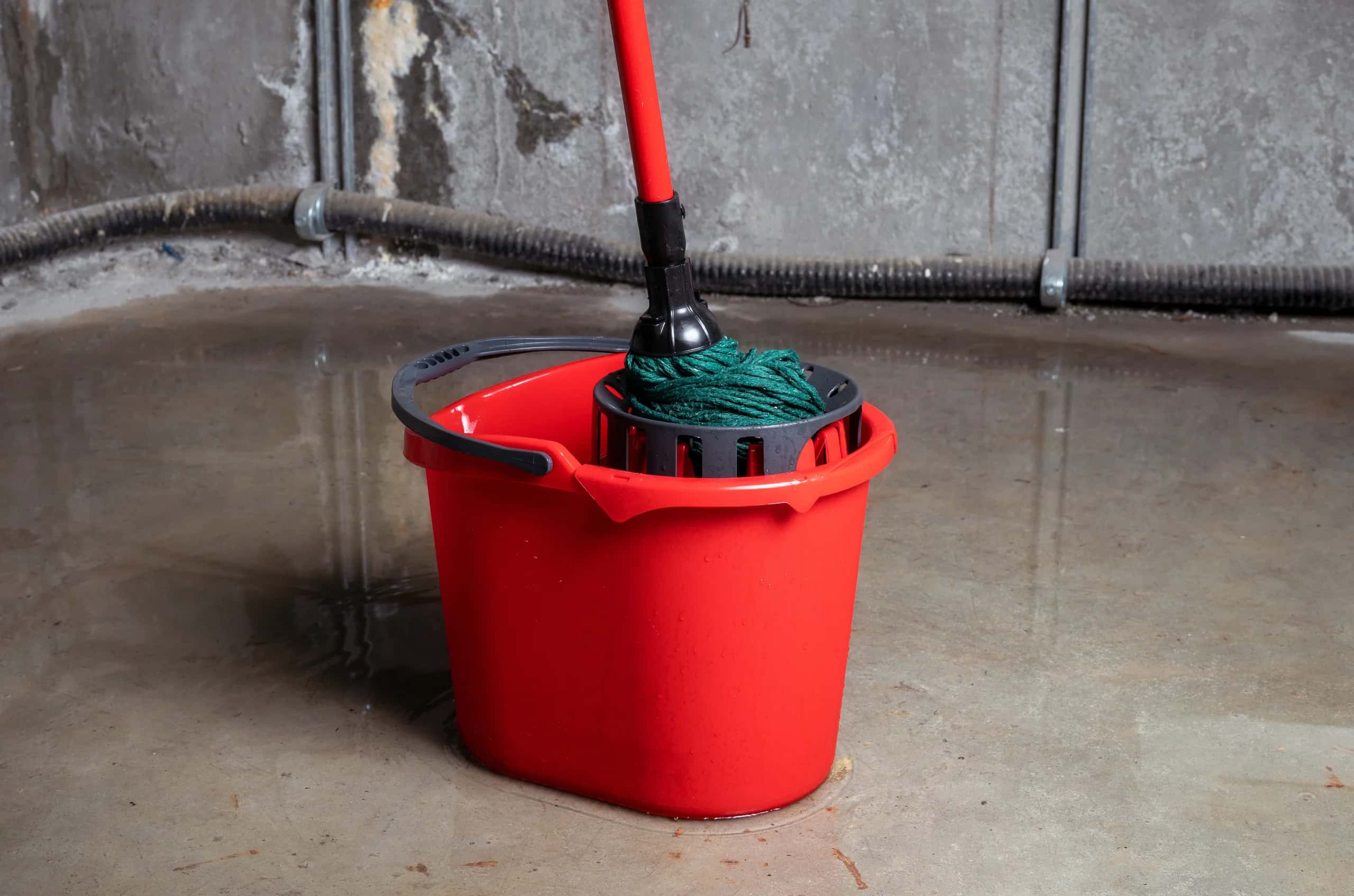 The Basement Flood Diagnosis: 12 Ways Water Gets Into a Canadian Home—and How to Identify Yours