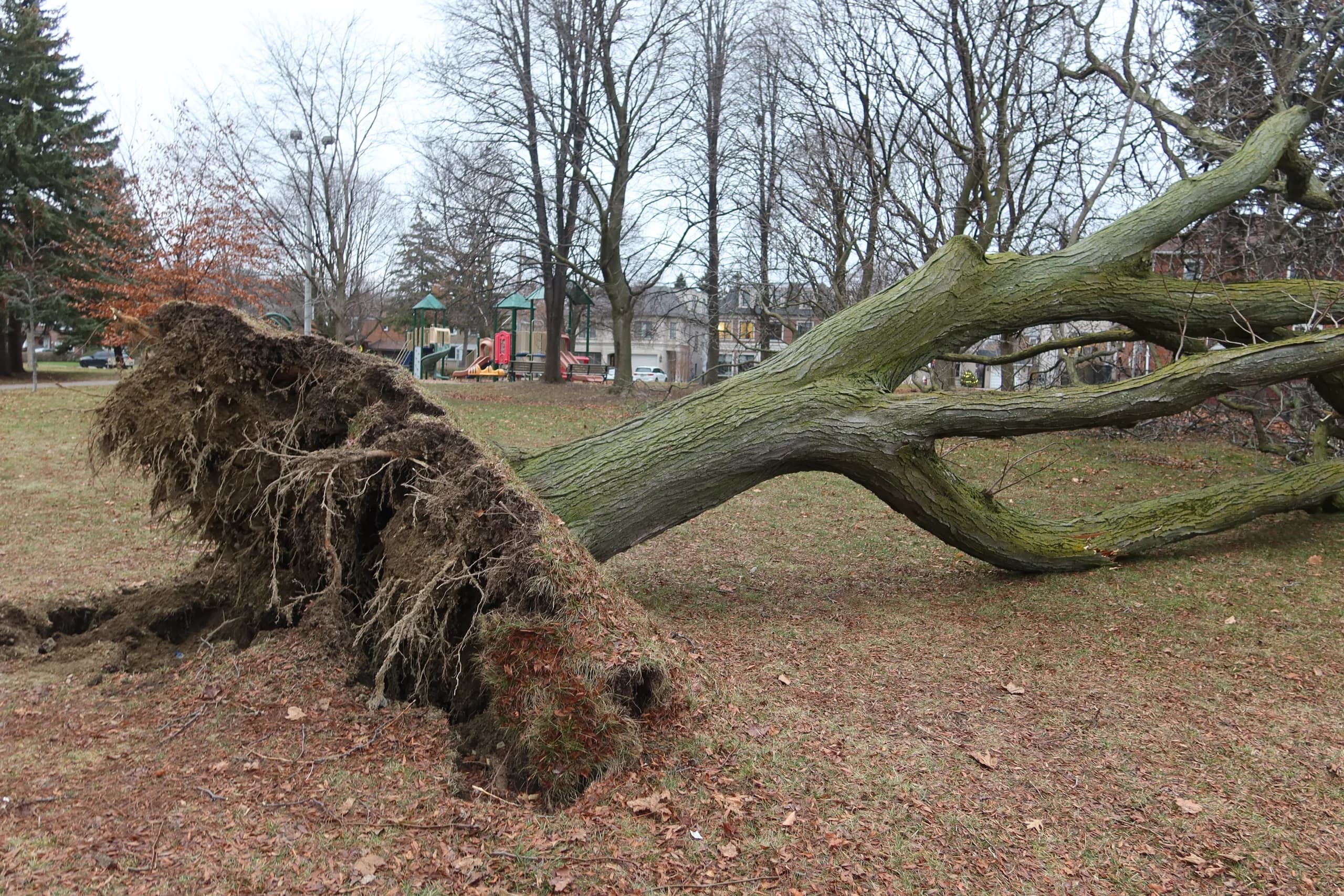 Extreme Weather Now Drives Over Half of Canada's Catastrophe Losses as Heat Reshapes Insurance Pricing