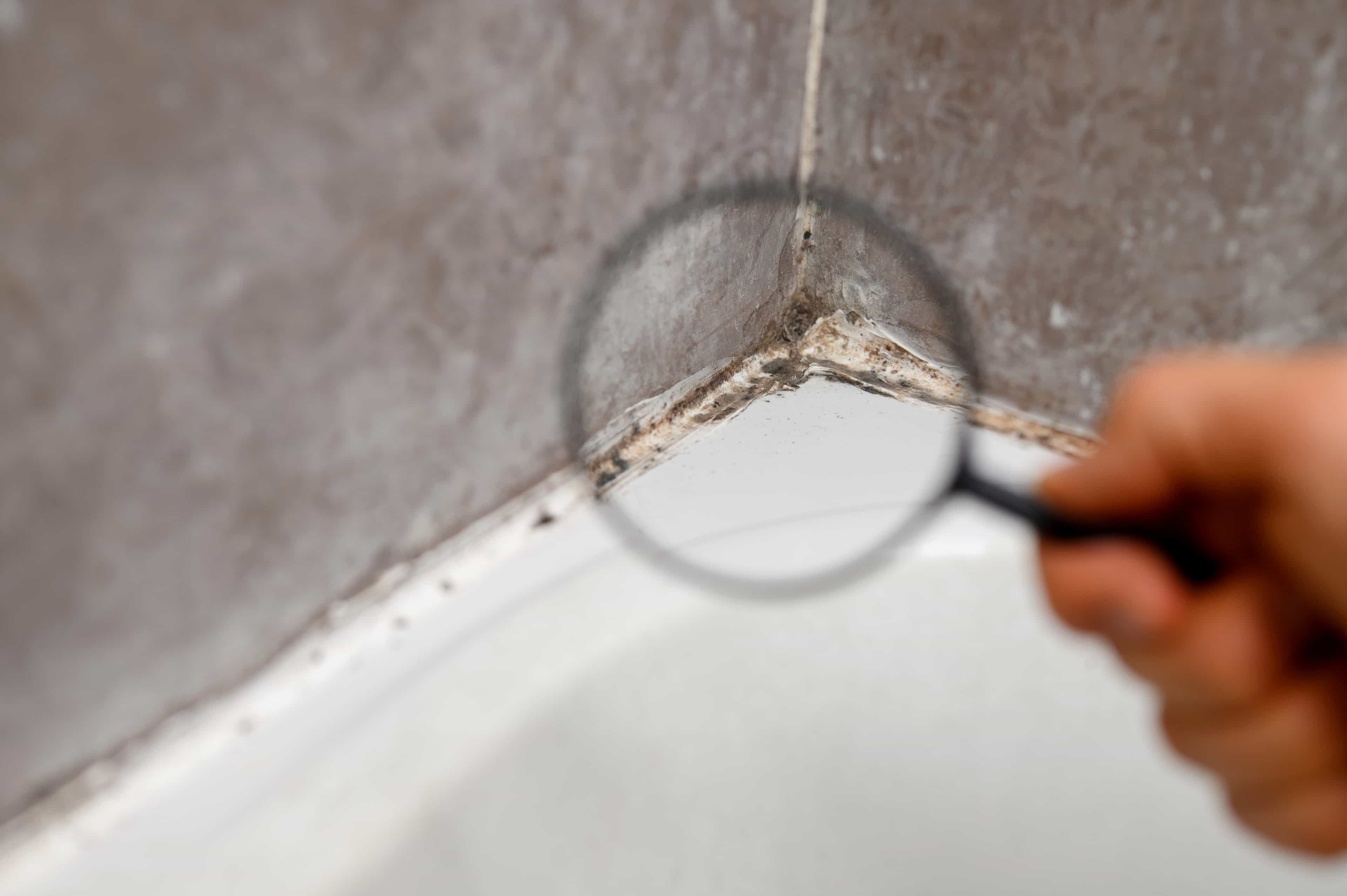 Home Mould Inspection and Air Quality Testing in Canada: What You’re Paying For and How to Choose a Credible Provider