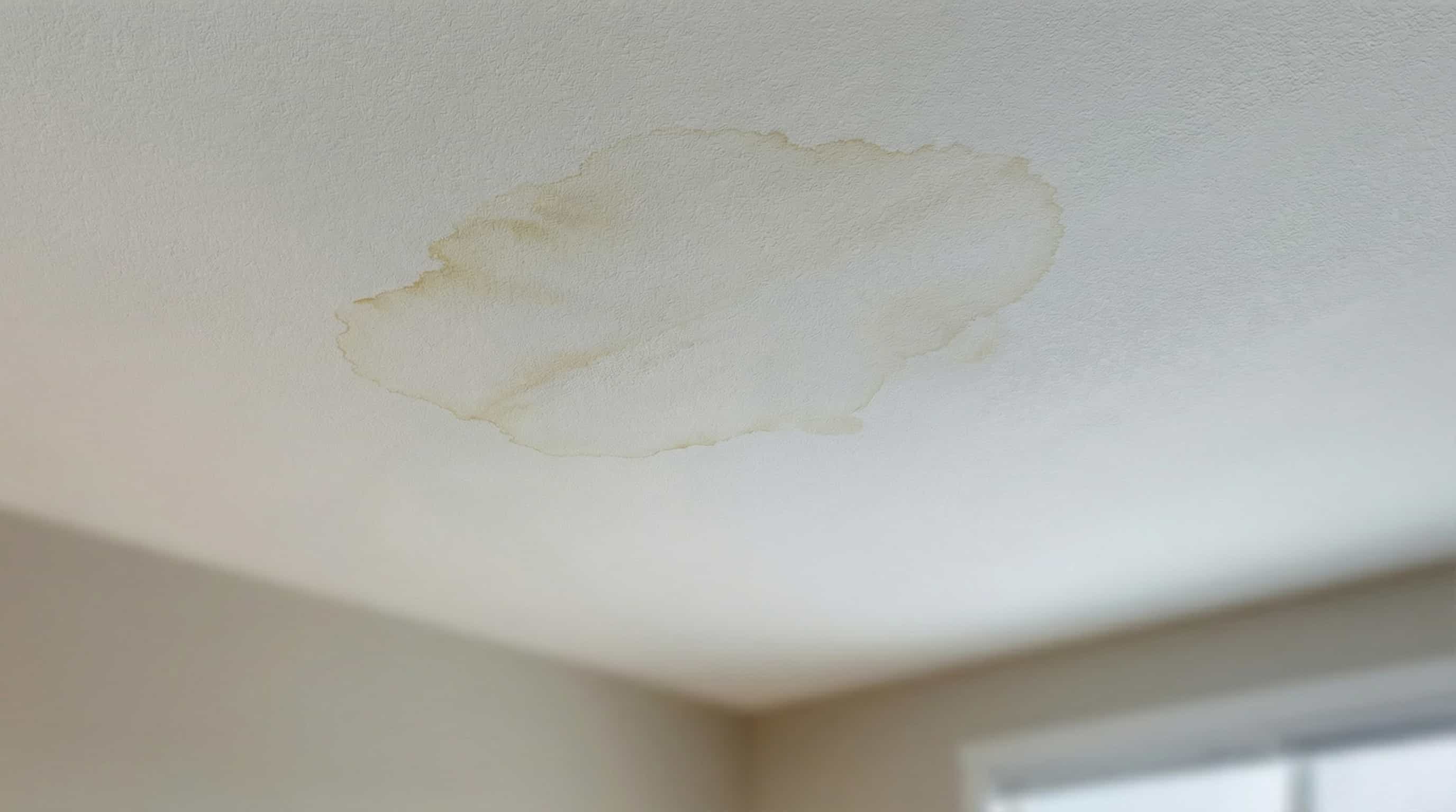 Roof Leaks: Early Detection & Emergency Fixes for Canadian Homes