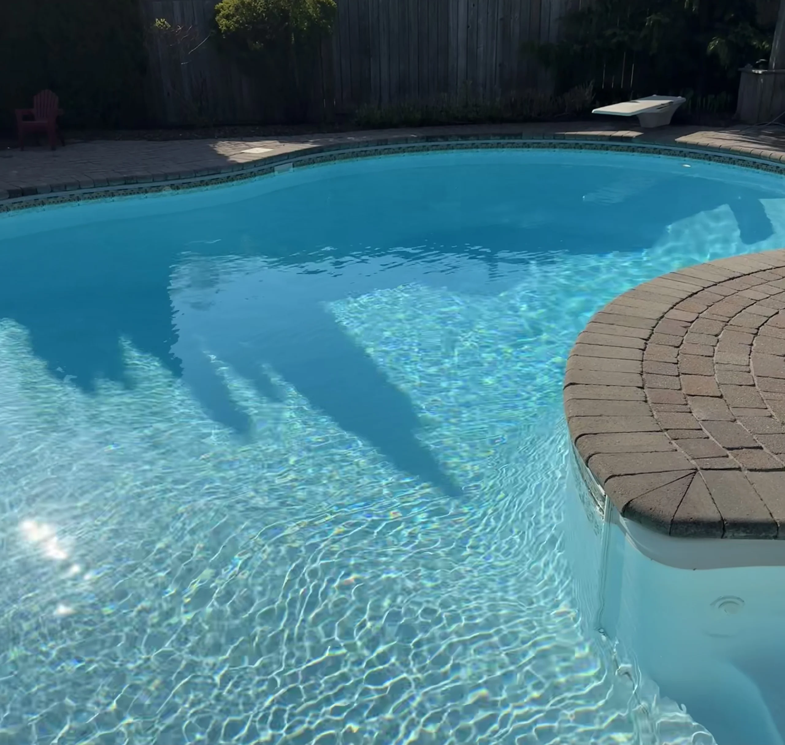 Building a Backyard Pool in Canada: Essential Insights Homeowners Should Consider First
