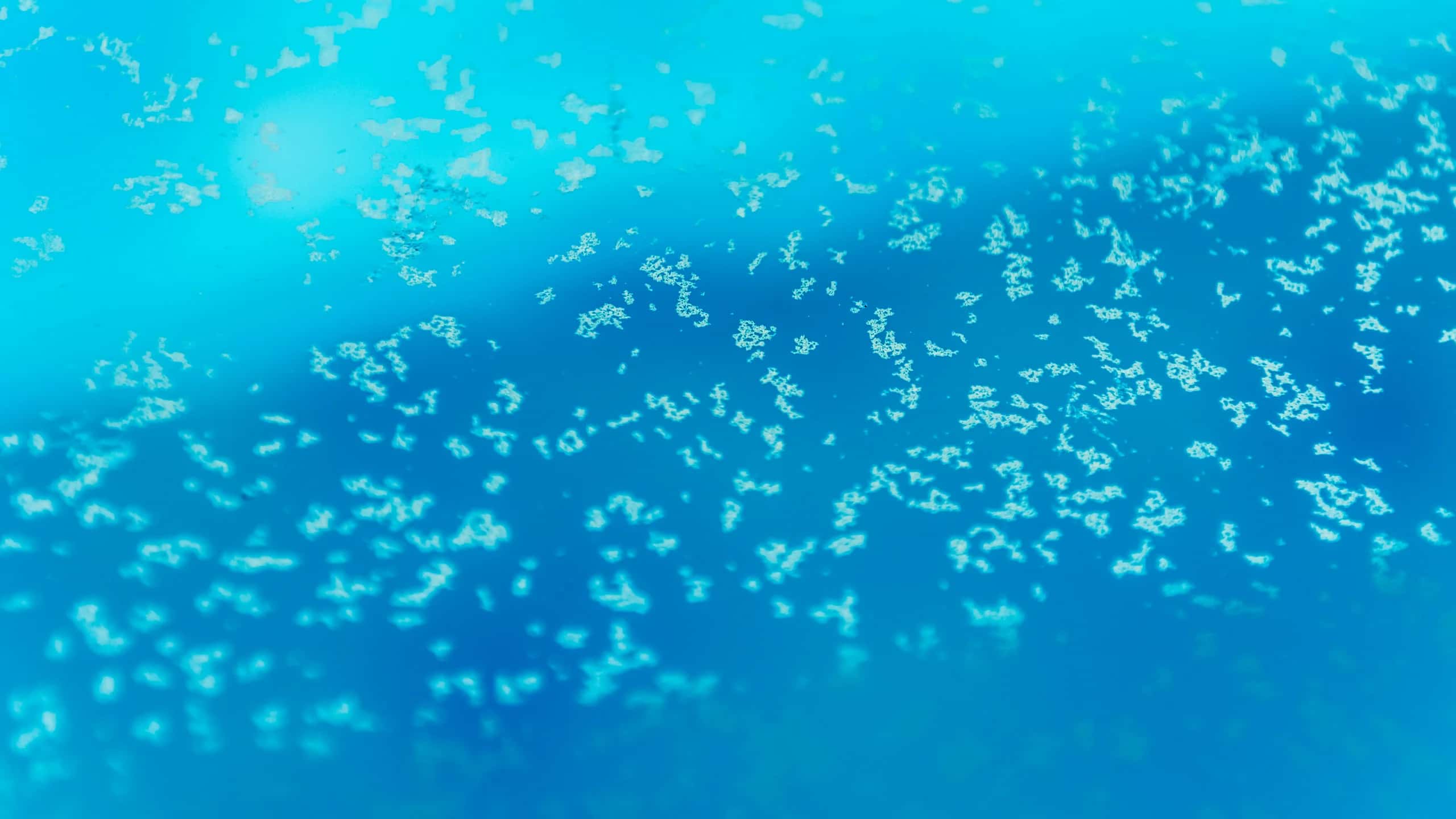The Hidden Toll Pollen Takes on Your Pool Equipment — and the Routine That Stops It