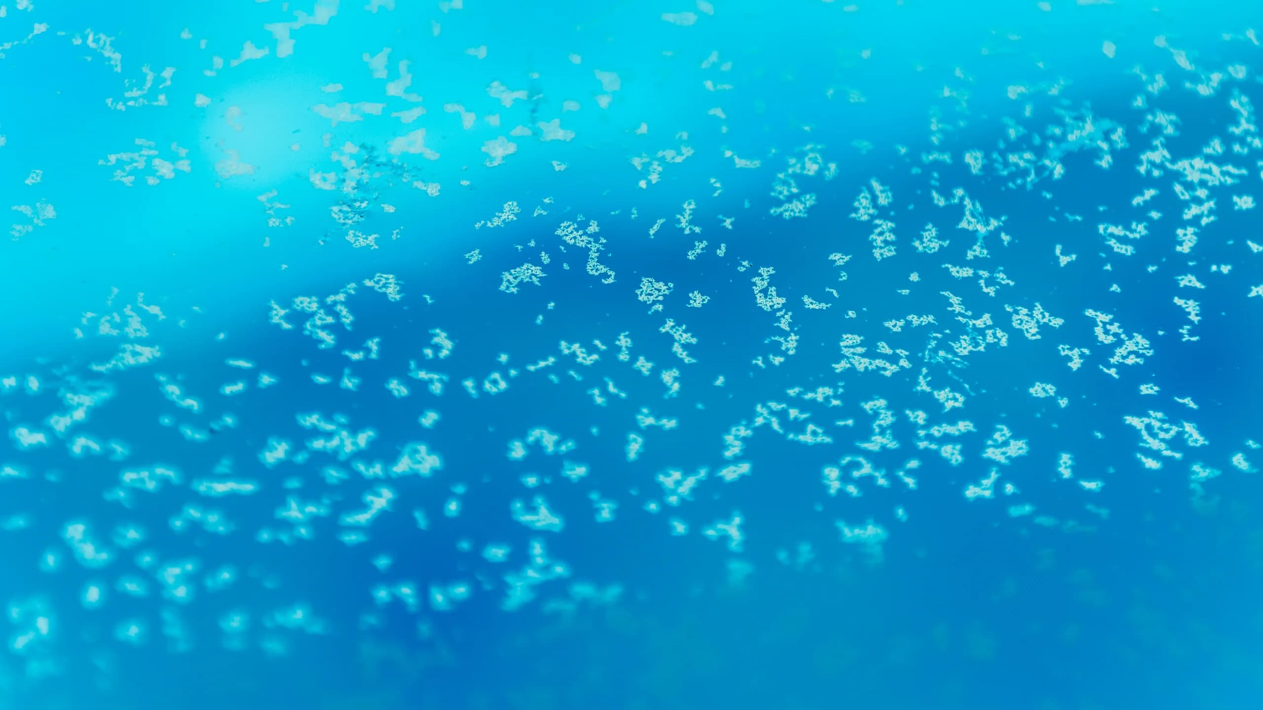 The Hidden Toll Pollen Takes on Your Pool Equipment — and the Routine That Stops It