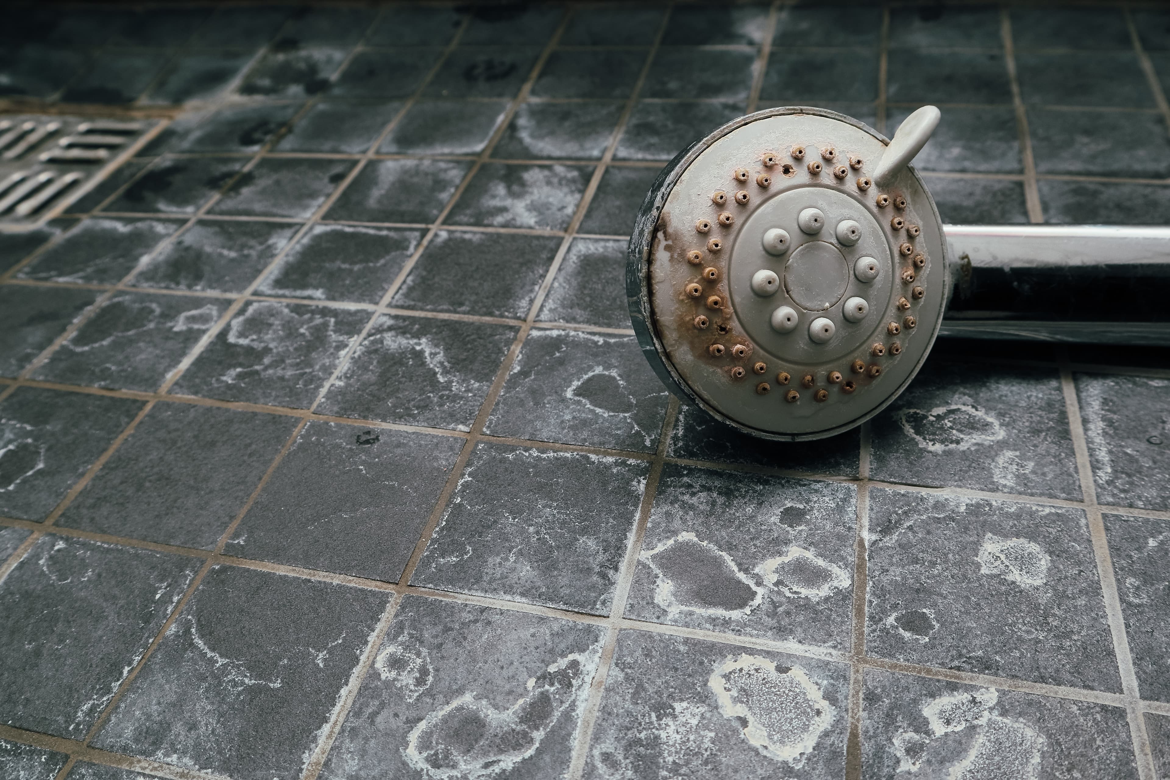 Shower floor tiles and corroded shower head with mineral deposits from hard water.