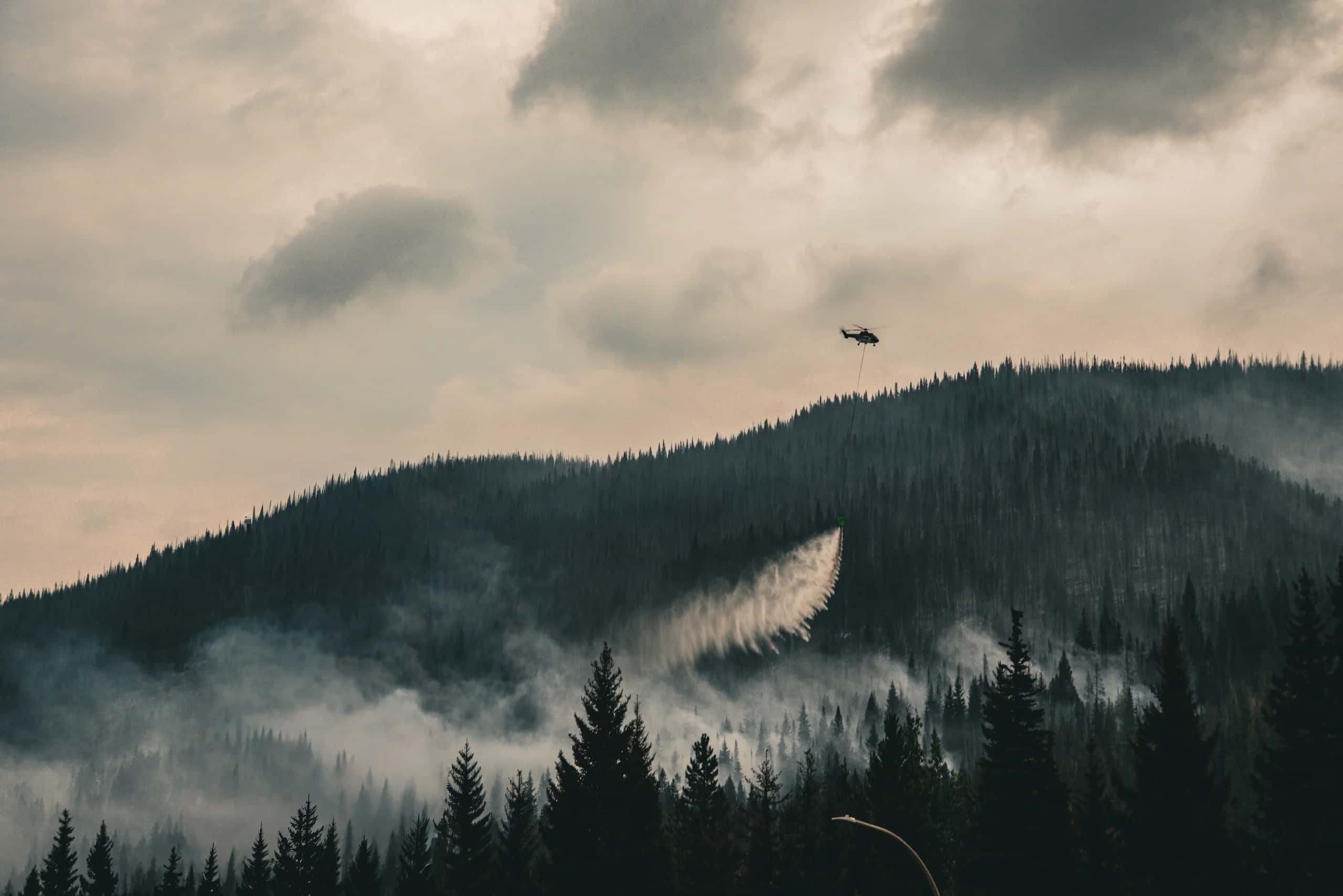IBC Opens Wildfire Claims Helpline as 50 BC Fires Burn Out of Control, Testing Living-Expense Coverage