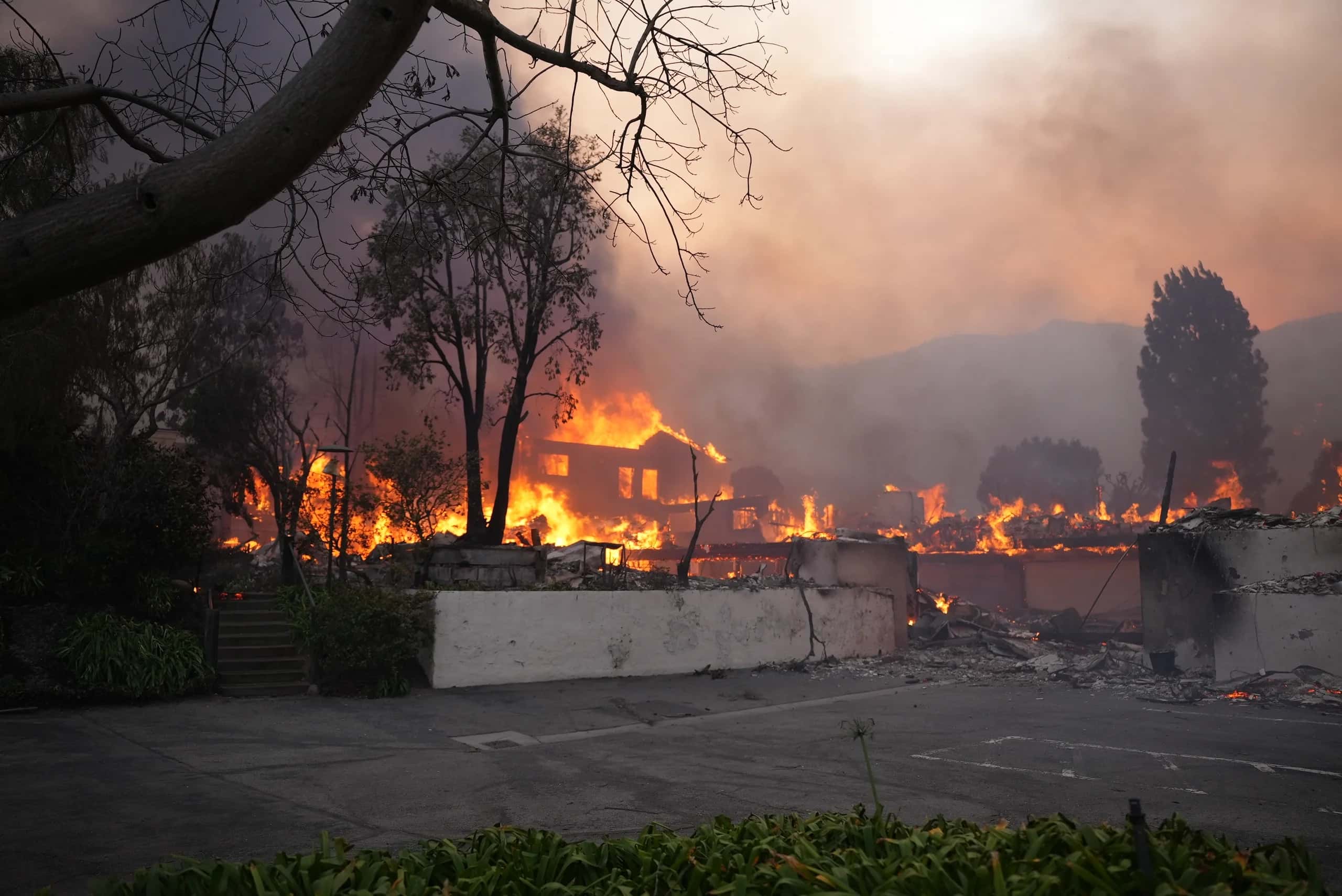 B.C. FireSmart Funding Falls to $25 Million as Experts Push to Make Home Fireproofing Mandatory