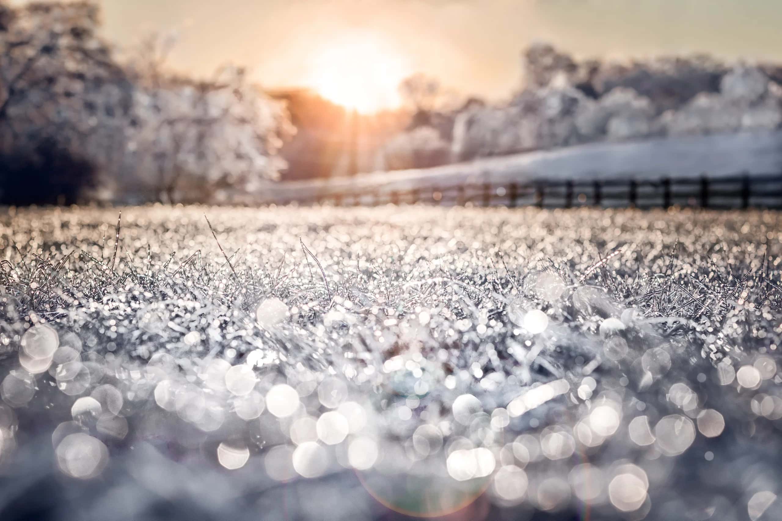 Two Winter Forecasts Just Landed for Canada, and They Don't Agree. Here's What Your House Should Actually Prepare For.