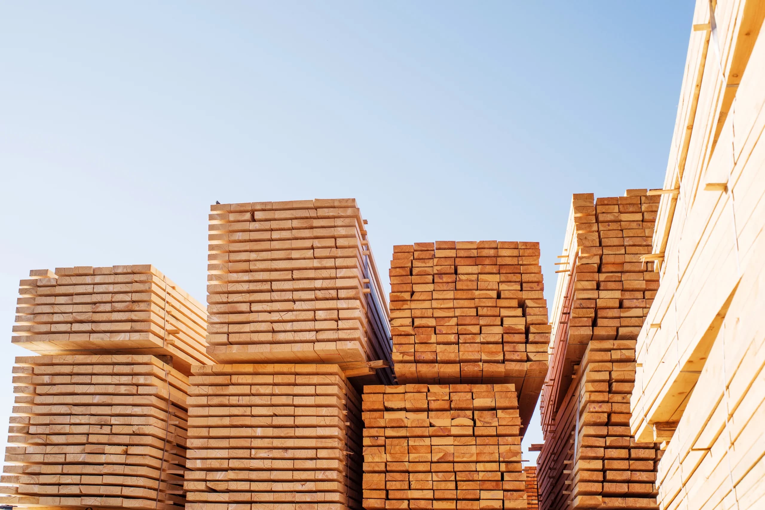Federal Government Lends $60 Million to Quebec Sawmiller as Lumber Tariffs Squeeze Renovation Budgets